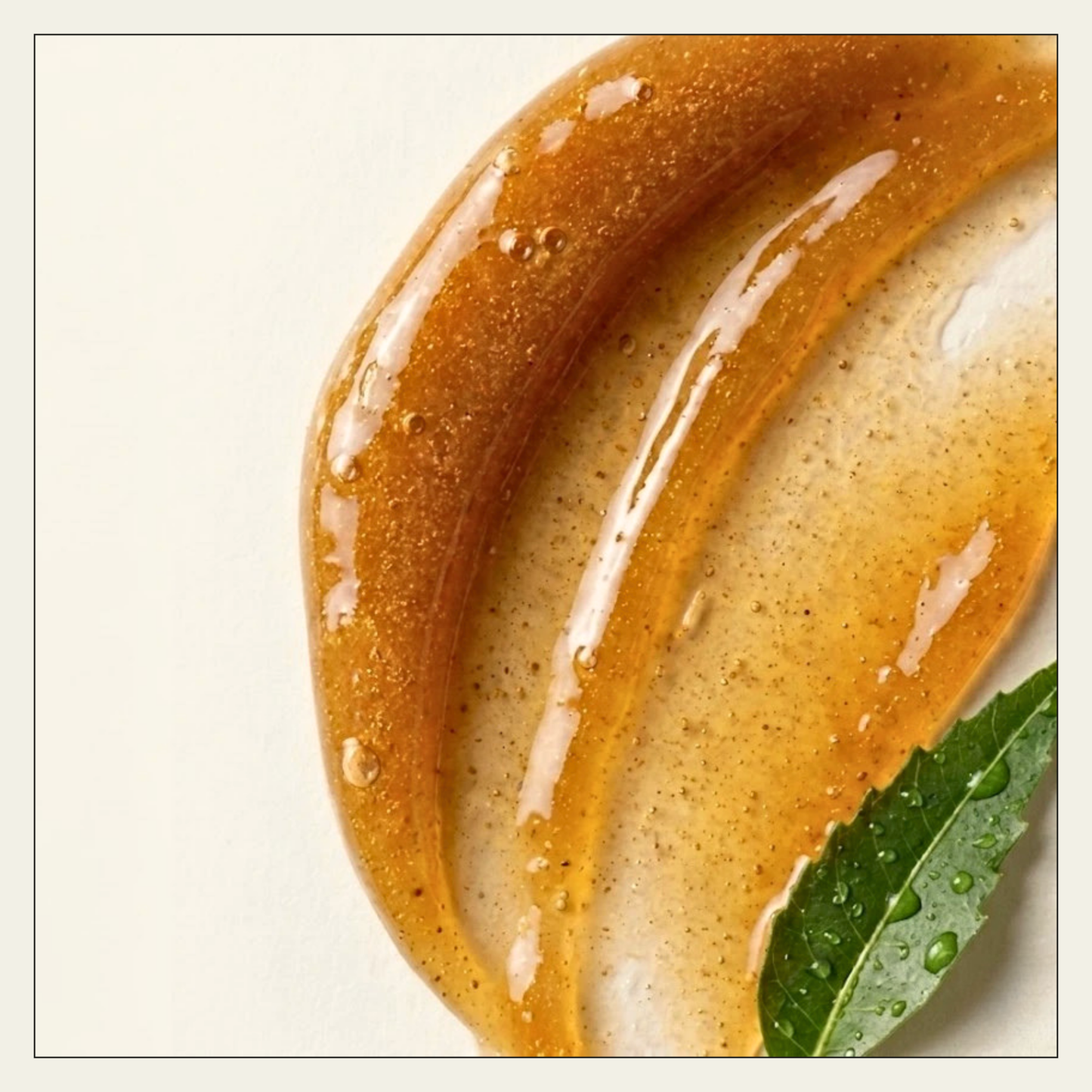 The Essential Herbal | Natural Herbal Shampoo for Hair Growth